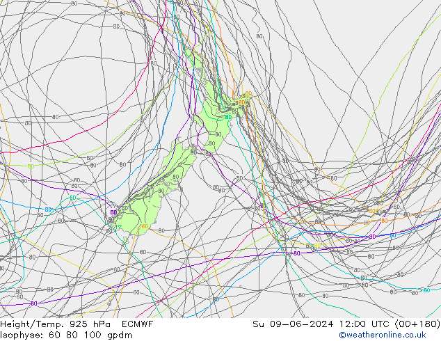 Géop./Temp. 925 hPa ECMWF dim 09.06.2024 12 UTC