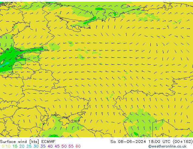 Bodenwind ECMWF Sa 08.06.2024 18 UTC