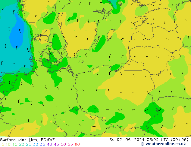  10 m ECMWF  02.06.2024 06 UTC