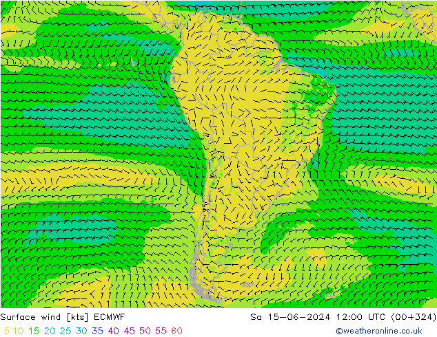 Surface wind ECMWF Sa 15.06.2024 12 UTC