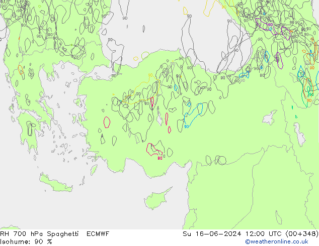 RH 700 hPa Spaghetti ECMWF Su 16.06.2024 12 UTC