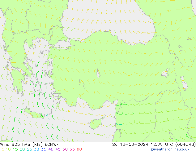 Vento 925 hPa ECMWF Dom 16.06.2024 12 UTC