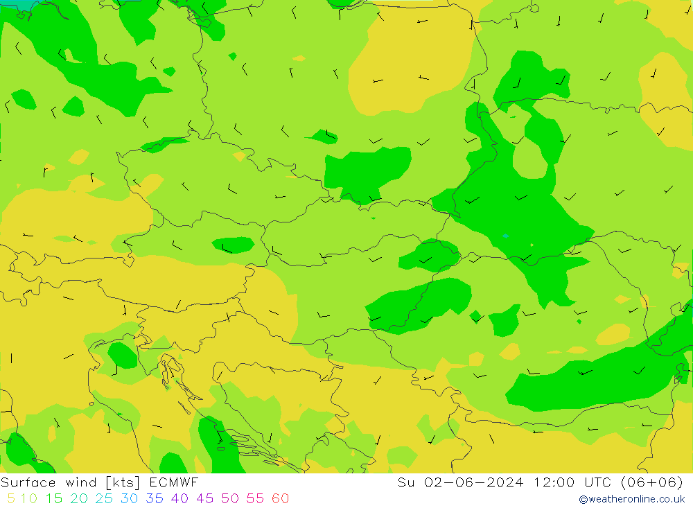 Surface wind ECMWF Su 02.06.2024 12 UTC