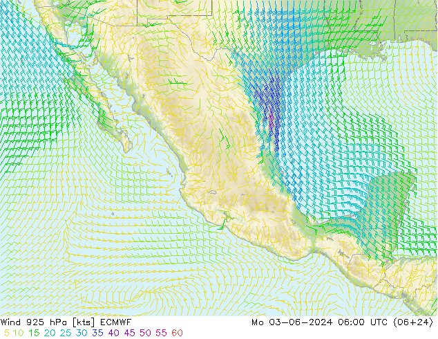 Vento 925 hPa ECMWF Seg 03.06.2024 06 UTC