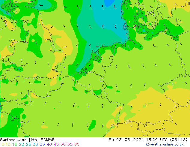 Surface wind ECMWF Su 02.06.2024 18 UTC