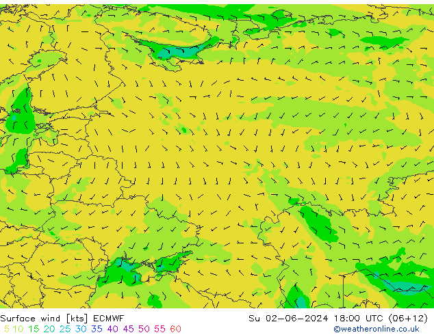 Surface wind ECMWF Su 02.06.2024 18 UTC