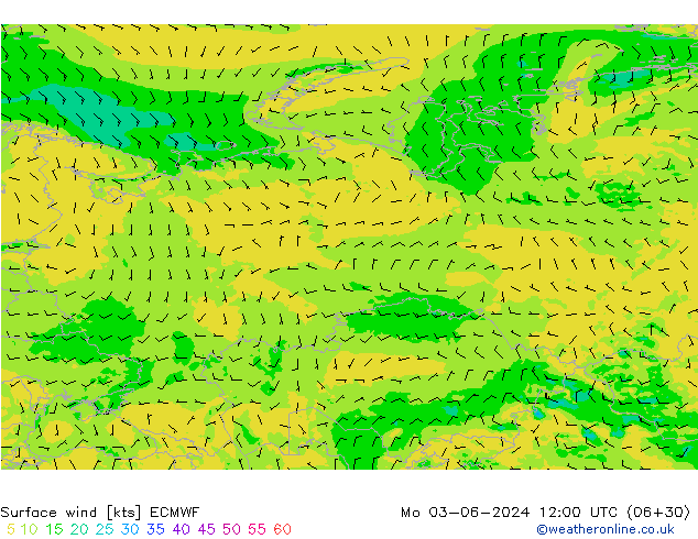 ветер 10 m ECMWF пн 03.06.2024 12 UTC