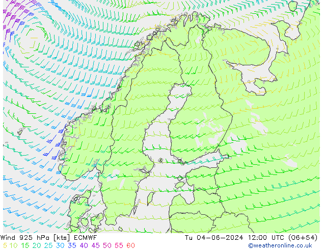 ветер 925 гПа ECMWF вт 04.06.2024 12 UTC