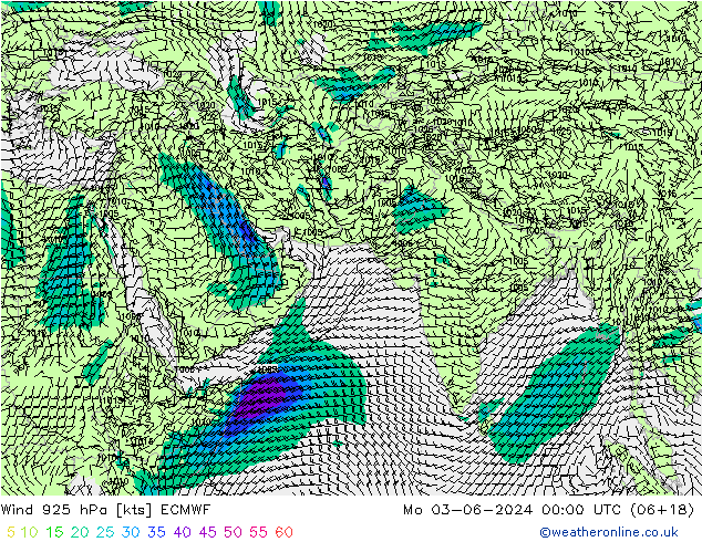  925 hPa ECMWF  03.06.2024 00 UTC