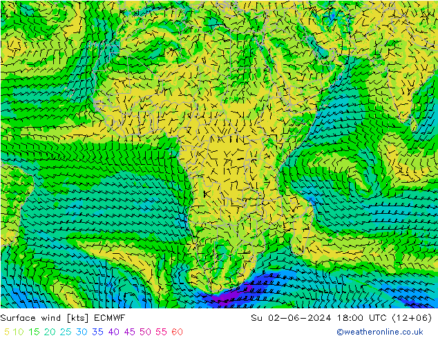 Surface wind ECMWF Su 02.06.2024 18 UTC