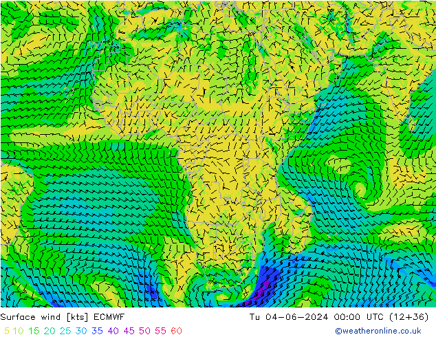 Vento 10 m ECMWF mar 04.06.2024 00 UTC