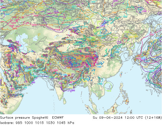 Yer basıncı Spaghetti ECMWF Paz 09.06.2024 12 UTC