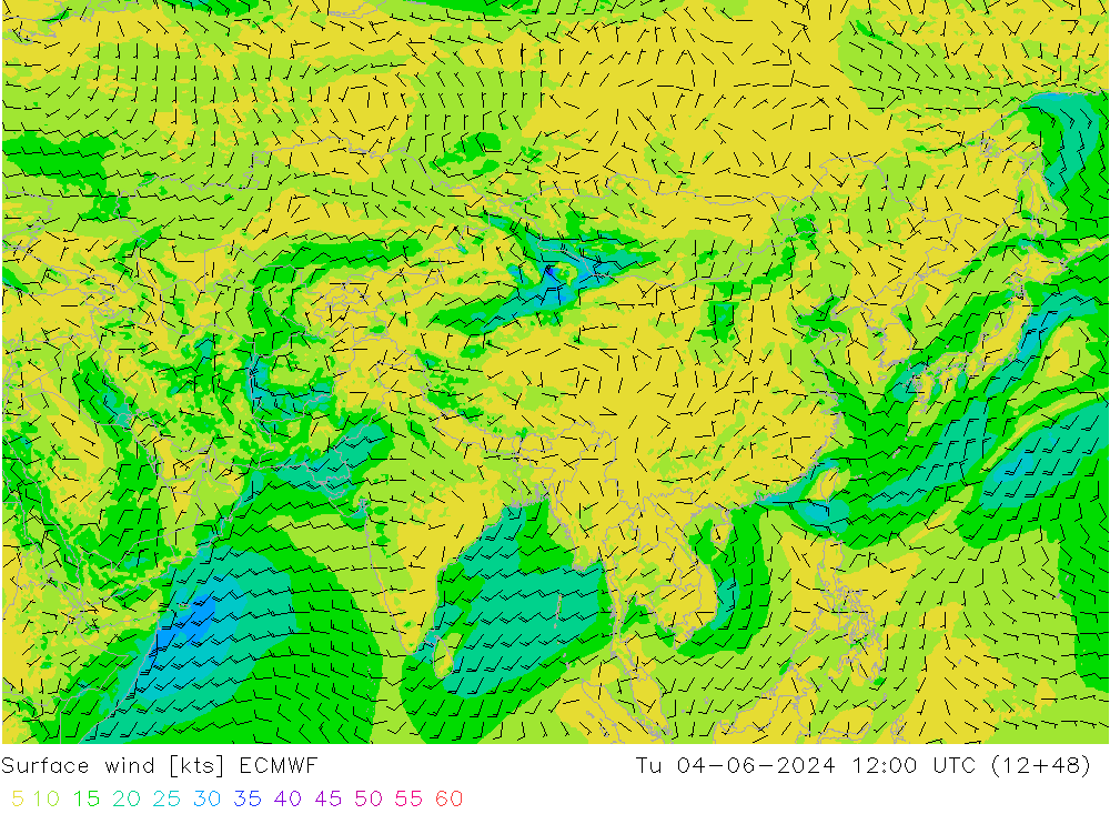 Surface wind ECMWF Út 04.06.2024 12 UTC