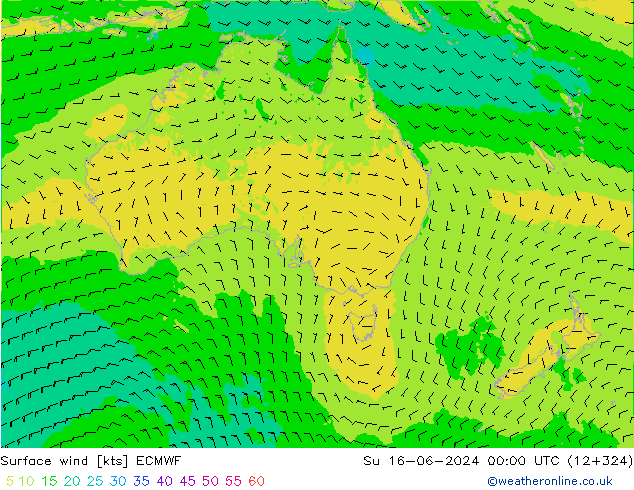 Wind 10 m ECMWF zo 16.06.2024 00 UTC