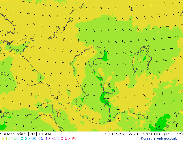Surface wind ECMWF Su 09.06.2024 12 UTC
