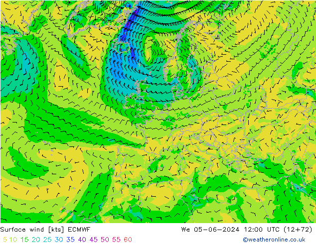 Bodenwind ECMWF Mi 05.06.2024 12 UTC