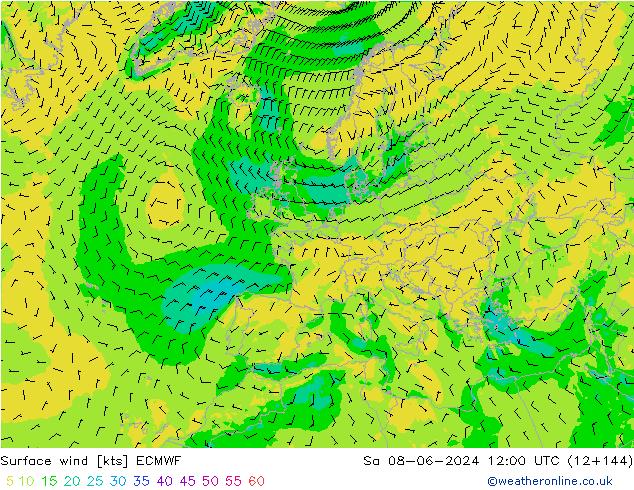 Wind 10 m ECMWF za 08.06.2024 12 UTC