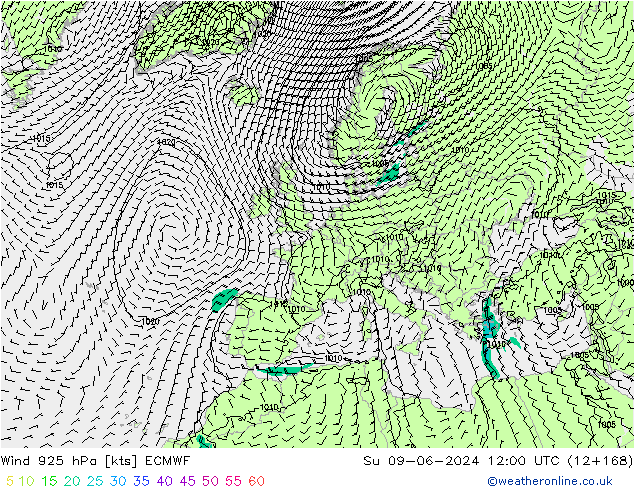 Wind 925 hPa ECMWF Ne 09.06.2024 12 UTC