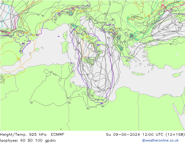 Hoogte/Temp. 925 hPa ECMWF zo 09.06.2024 12 UTC