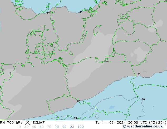 RH 700 гПа ECMWF вт 11.06.2024 00 UTC