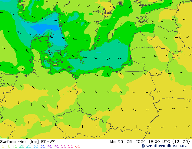 Surface wind ECMWF Mo 03.06.2024 18 UTC