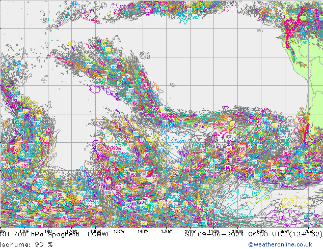 RV 700 hPa Spaghetti ECMWF zo 09.06.2024 06 UTC