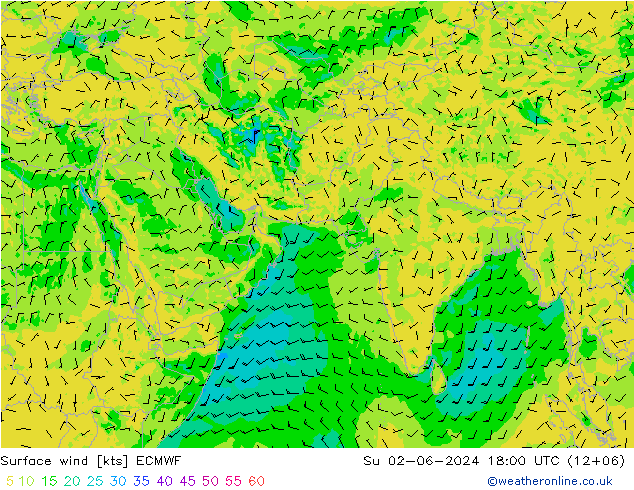 Vent 10 m ECMWF dim 02.06.2024 18 UTC