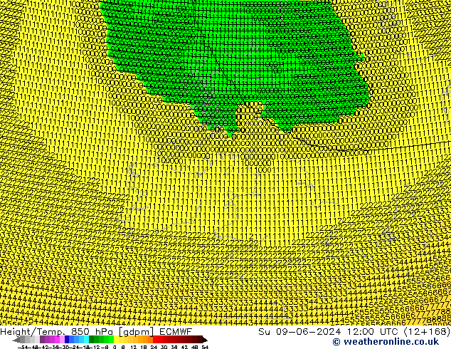 Height/Temp. 850 гПа ECMWF Вс 09.06.2024 12 UTC