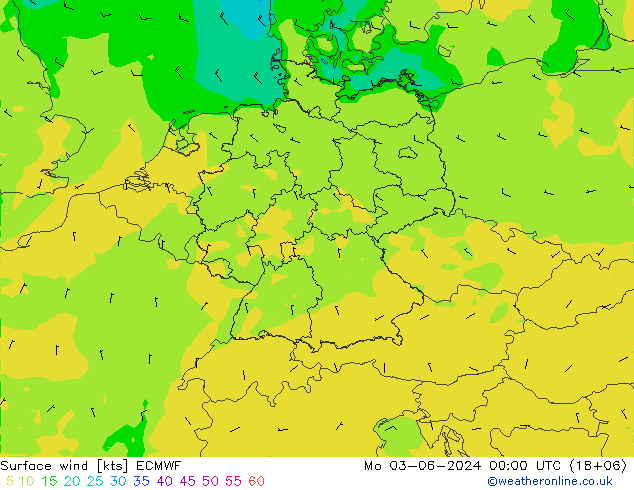 ветер 10 m ECMWF пн 03.06.2024 00 UTC