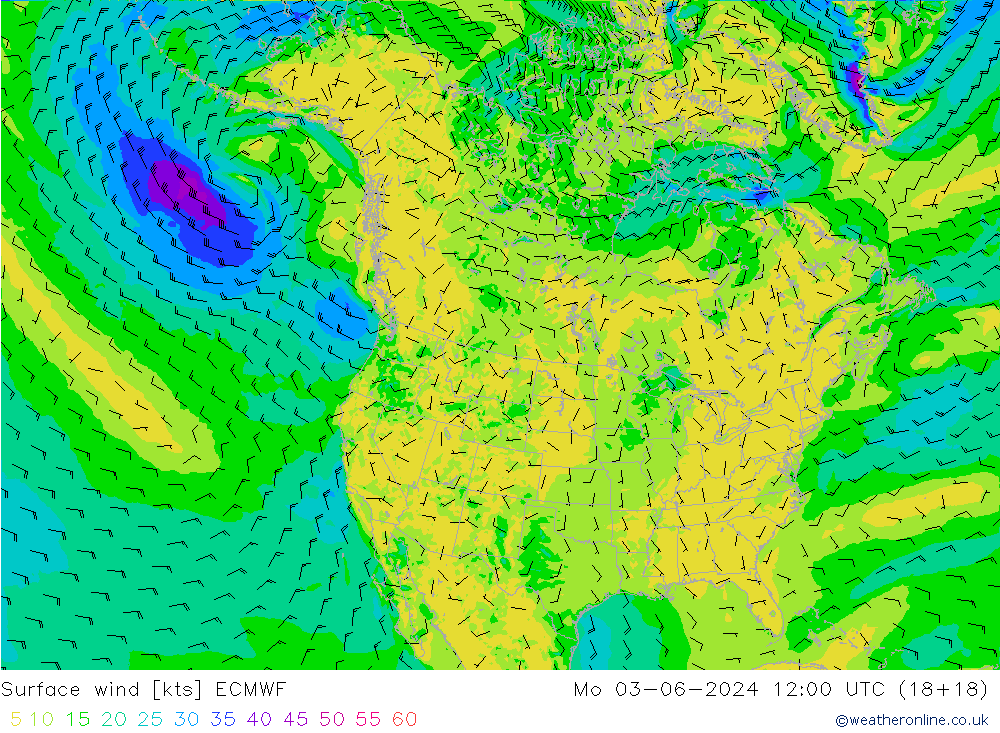 Surface wind ECMWF Mo 03.06.2024 12 UTC