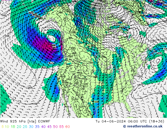 ветер 925 гПа ECMWF вт 04.06.2024 06 UTC