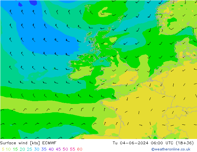 ветер 10 m ECMWF вт 04.06.2024 06 UTC