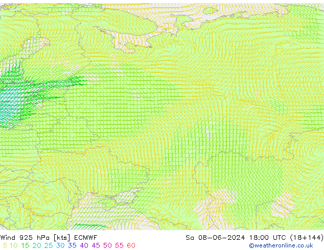 Rüzgar 925 hPa ECMWF Cts 08.06.2024 18 UTC