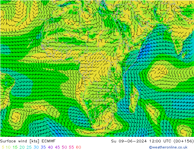 Viento 10 m ECMWF dom 09.06.2024 12 UTC