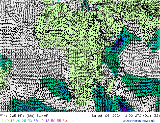 Rüzgar 925 hPa ECMWF Cts 08.06.2024 12 UTC