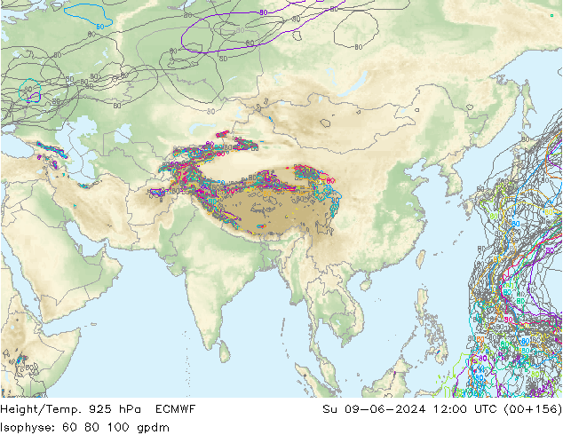 Height/Temp. 925 hPa ECMWF nie. 09.06.2024 12 UTC