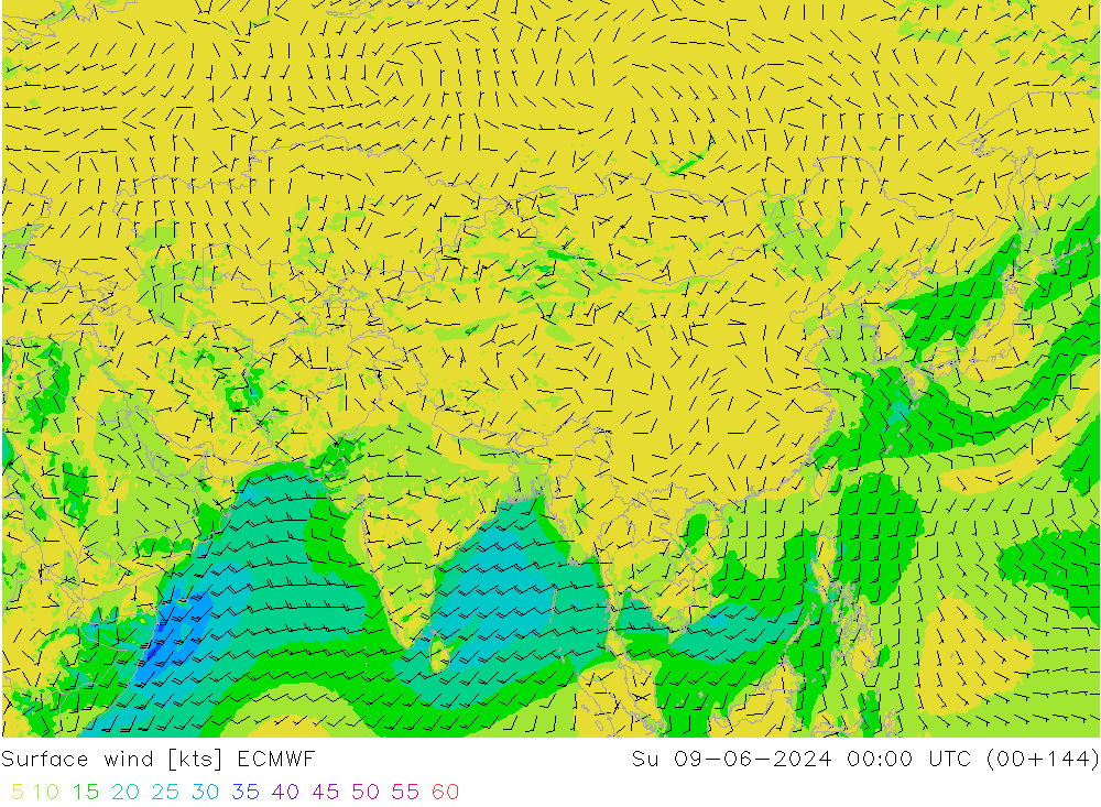 Vent 10 m ECMWF dim 09.06.2024 00 UTC