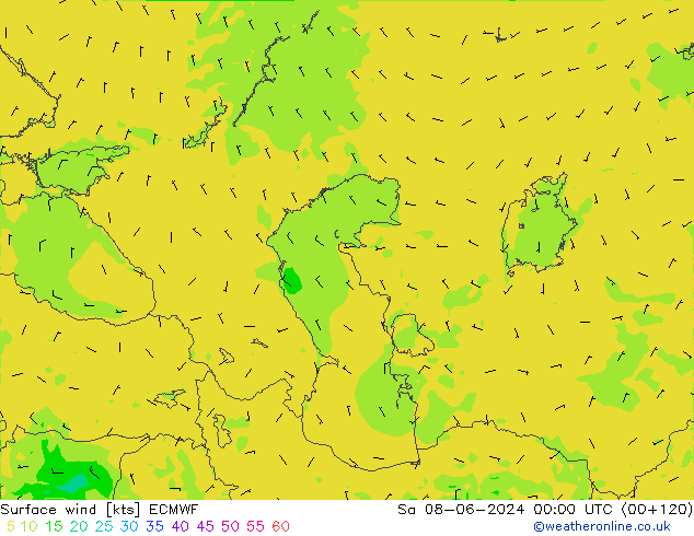 Surface wind ECMWF Sa 08.06.2024 00 UTC
