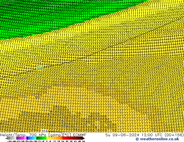 Height/Temp. 700 hPa ECMWF Su 09.06.2024 12 UTC