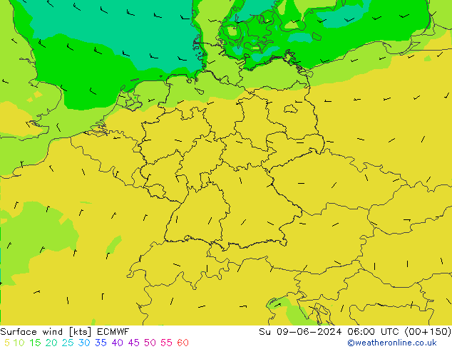 Surface wind ECMWF Su 09.06.2024 06 UTC