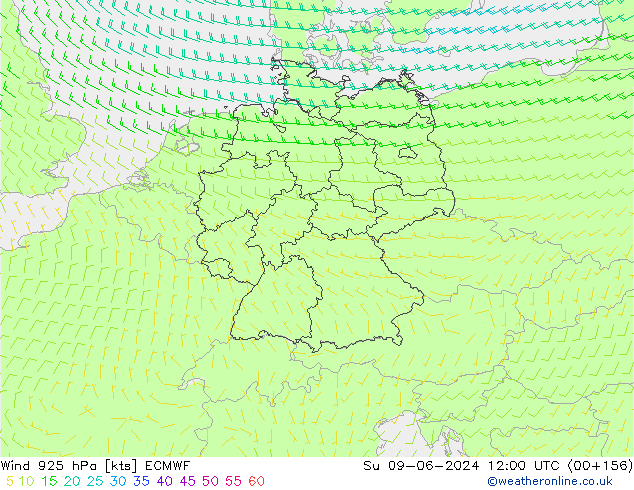 Viento 925 hPa ECMWF dom 09.06.2024 12 UTC