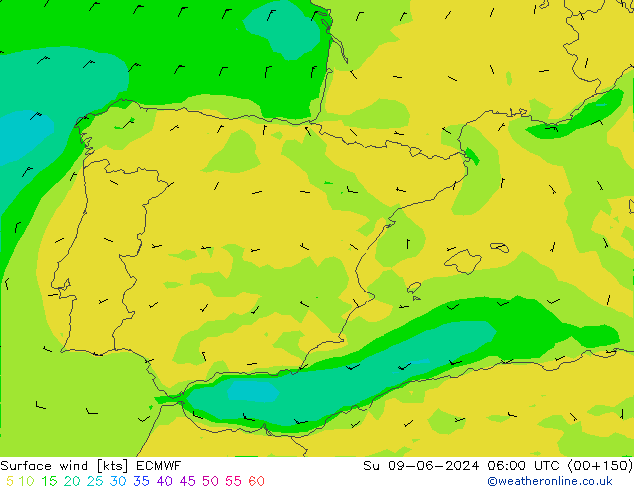 Wind 10 m ECMWF zo 09.06.2024 06 UTC