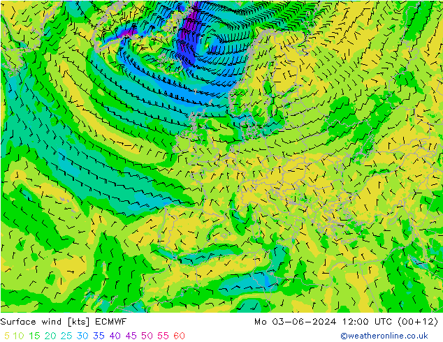 ветер 10 m ECMWF пн 03.06.2024 12 UTC