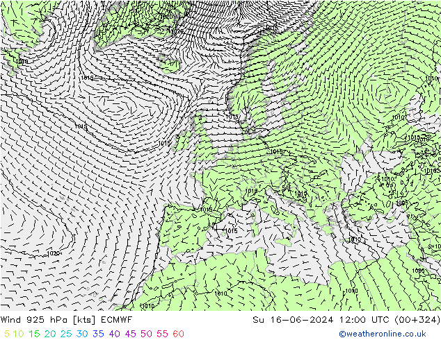 Vento 925 hPa ECMWF Dom 16.06.2024 12 UTC