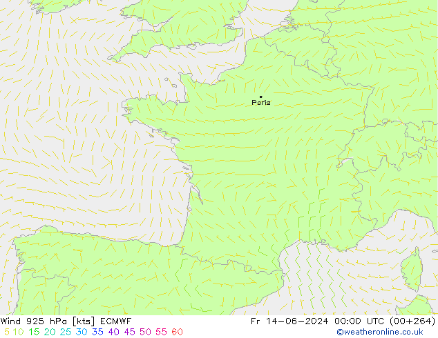  925 hPa ECMWF  14.06.2024 00 UTC