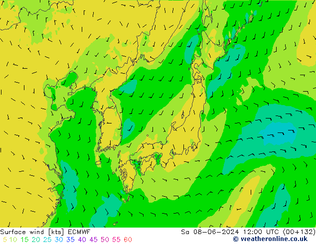 Viento 10 m ECMWF sáb 08.06.2024 12 UTC