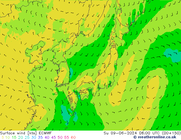 ветер 10 m ECMWF Вс 09.06.2024 06 UTC