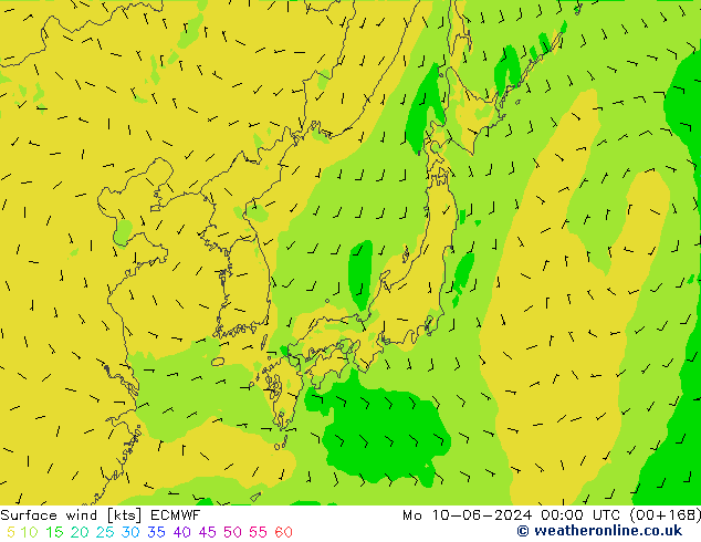 Wind 10 m ECMWF ma 10.06.2024 00 UTC