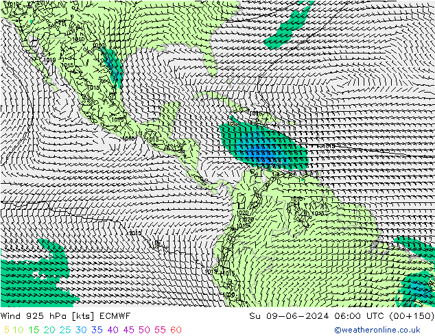 Vento 925 hPa ECMWF Dom 09.06.2024 06 UTC