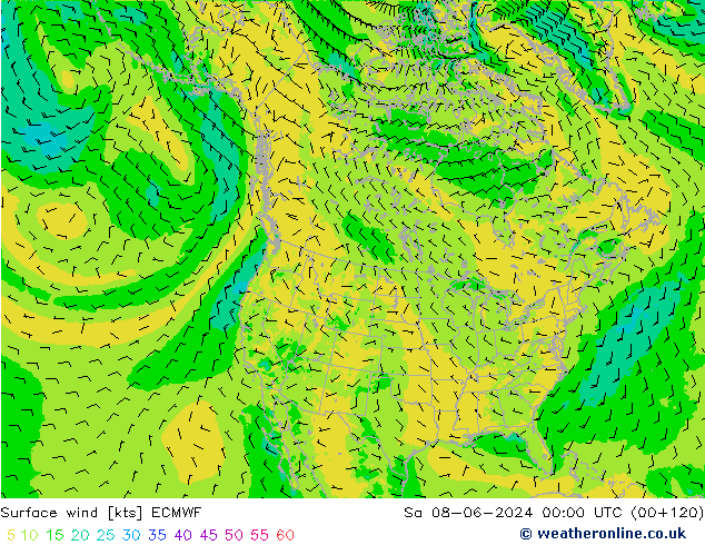 Vento 10 m ECMWF sab 08.06.2024 00 UTC